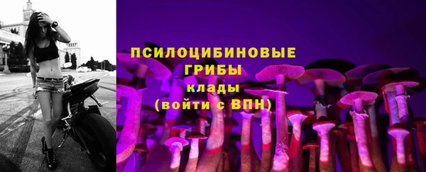 скорость Михайловка