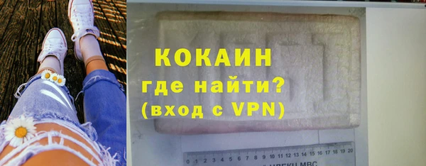 гашик Михайлов