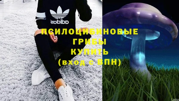 гашик Михайлов