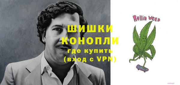 гашик Михайлов