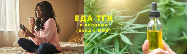 гашик Михайлов