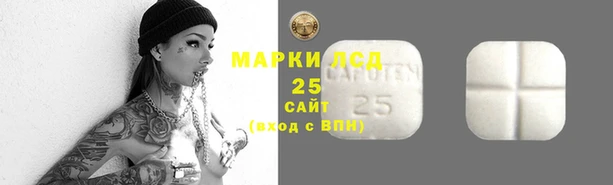 гашик Михайлов