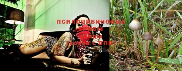 гашик Михайлов