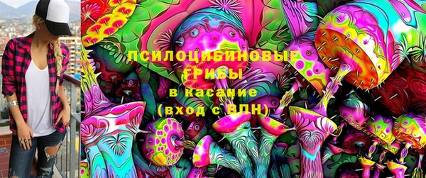 гашик Михайлов