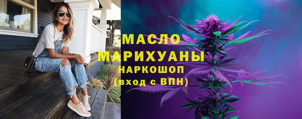 гашик Михайлов