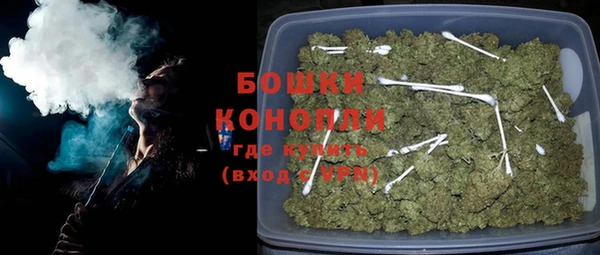гашик Михайлов